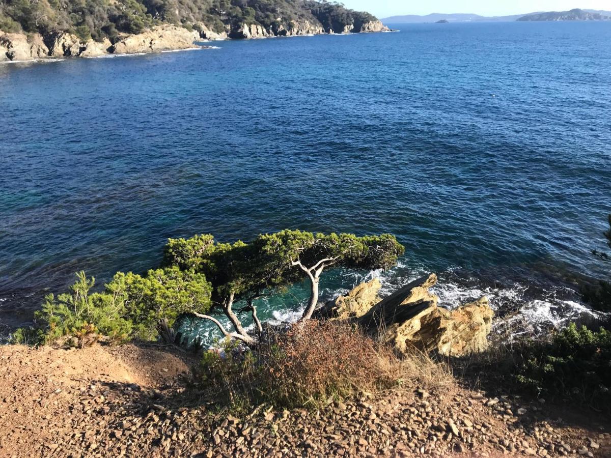 La Pauseto Villa La Seyne-sur-Mer Exteriör bild