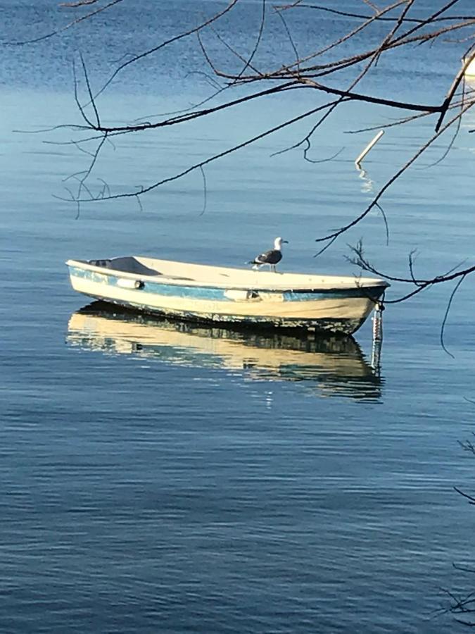 La Pauseto Villa La Seyne-sur-Mer Exteriör bild