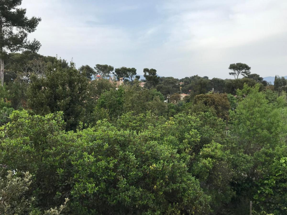 La Pauseto Villa La Seyne-sur-Mer Exteriör bild
